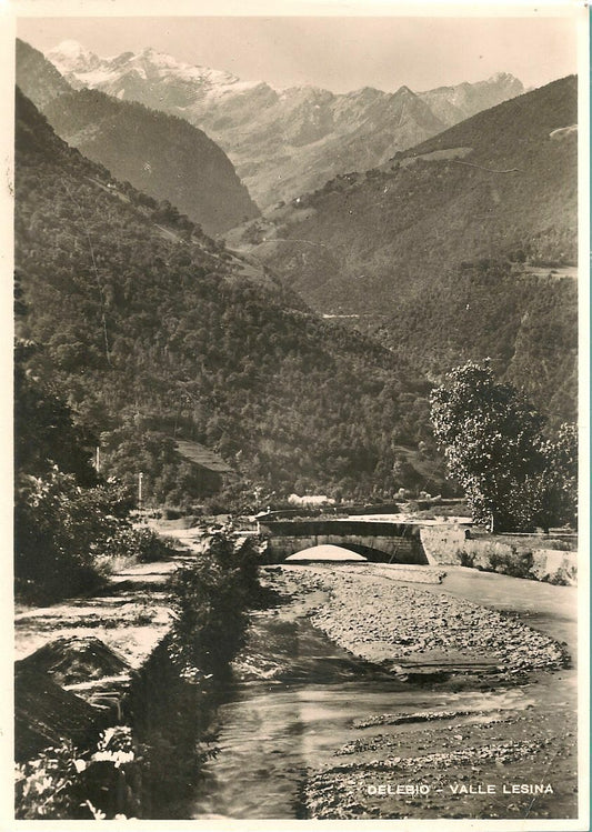 DELEBIO - VALLE LESINA - V1950
