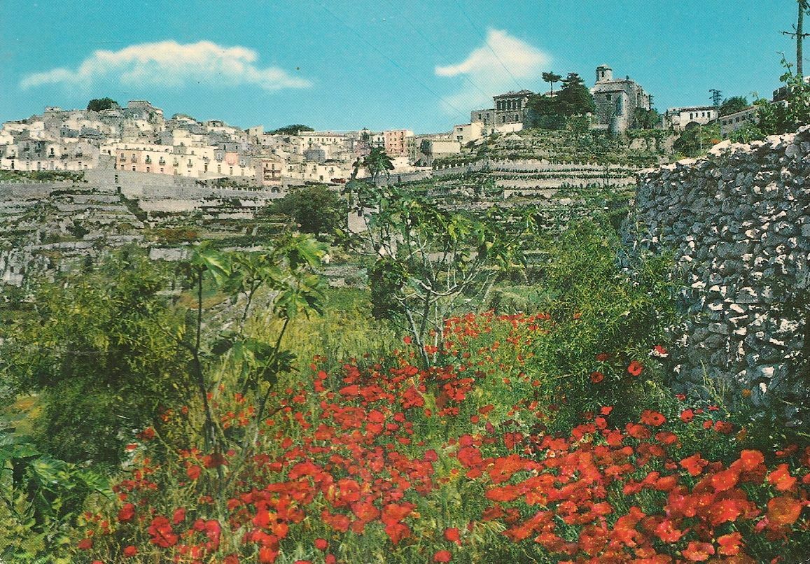 MONTE SANT'ANGELO - PANORAMA- V1970