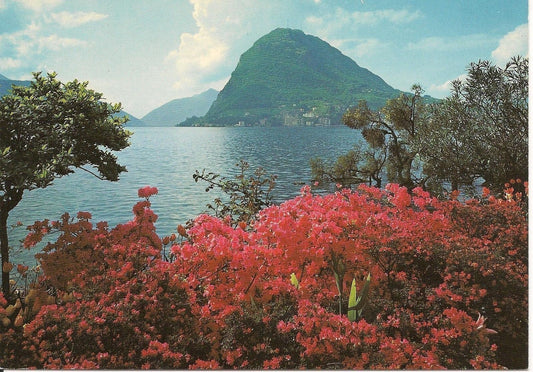 LUGANO -QUAI E MONTE S. SALVATORE - NV
