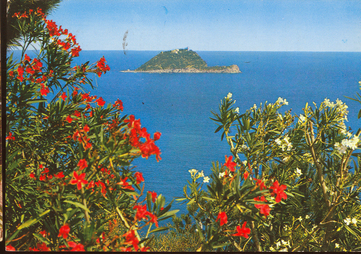 ISOLA GALLINARA - V1979
