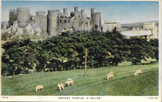 CONWAY CASTLE - PANORAMA - V/T1949