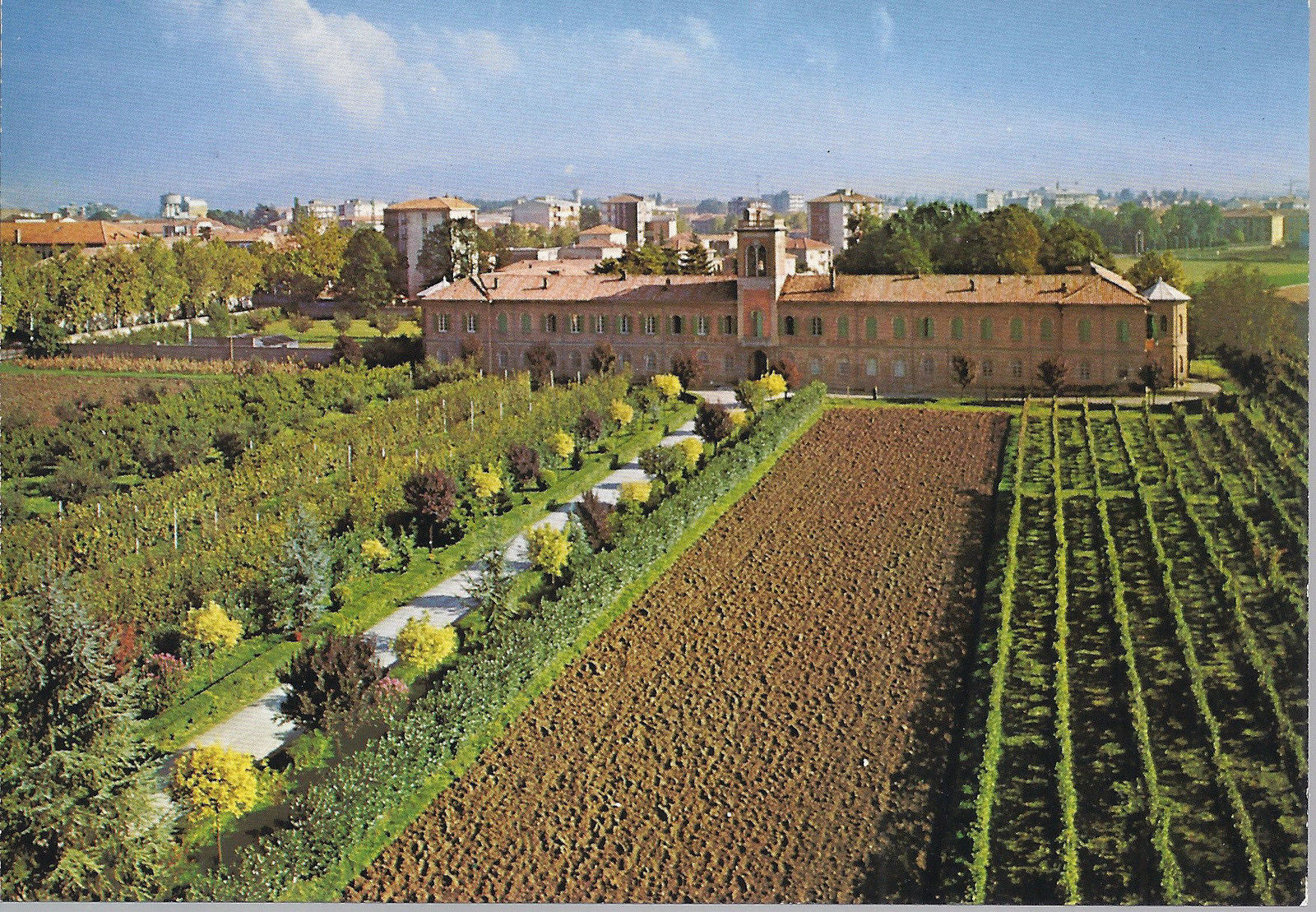 VOGHERA - ISTITUTO AGRARIO G. GALLINI - NV - FG