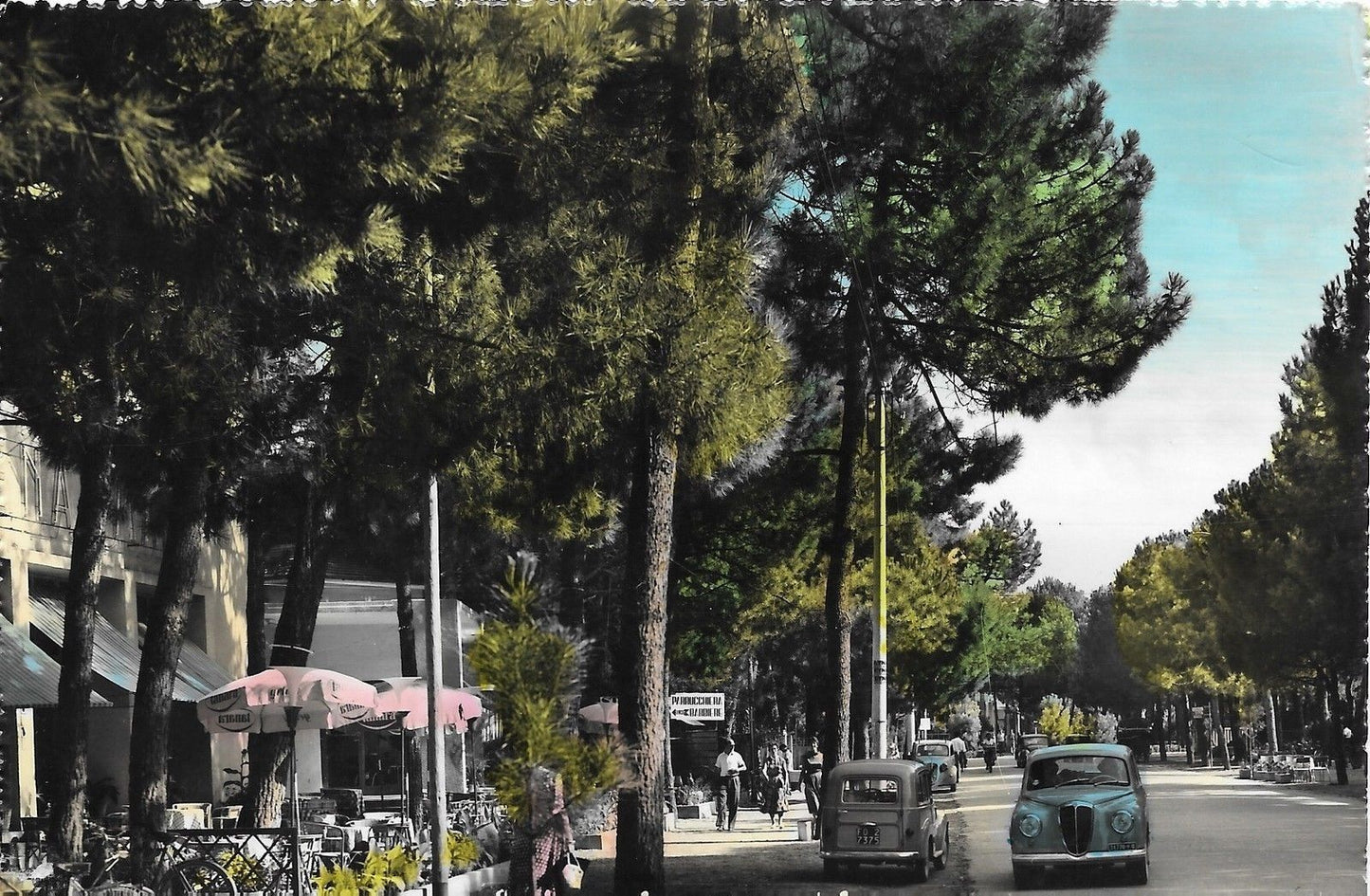 MILANO MARITTIMA - VIALE G. MATTEOTTI - ACQUARELLATA - V1957