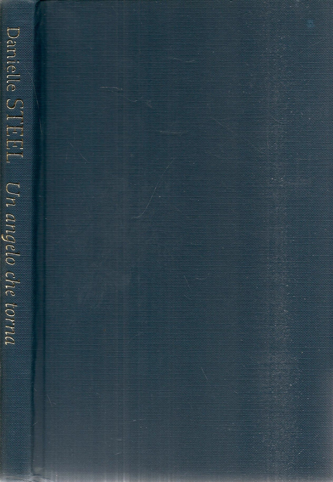 UN ANGELO CHE TORNA - DANIELLE STEEL - MONDOLIBRI 2007