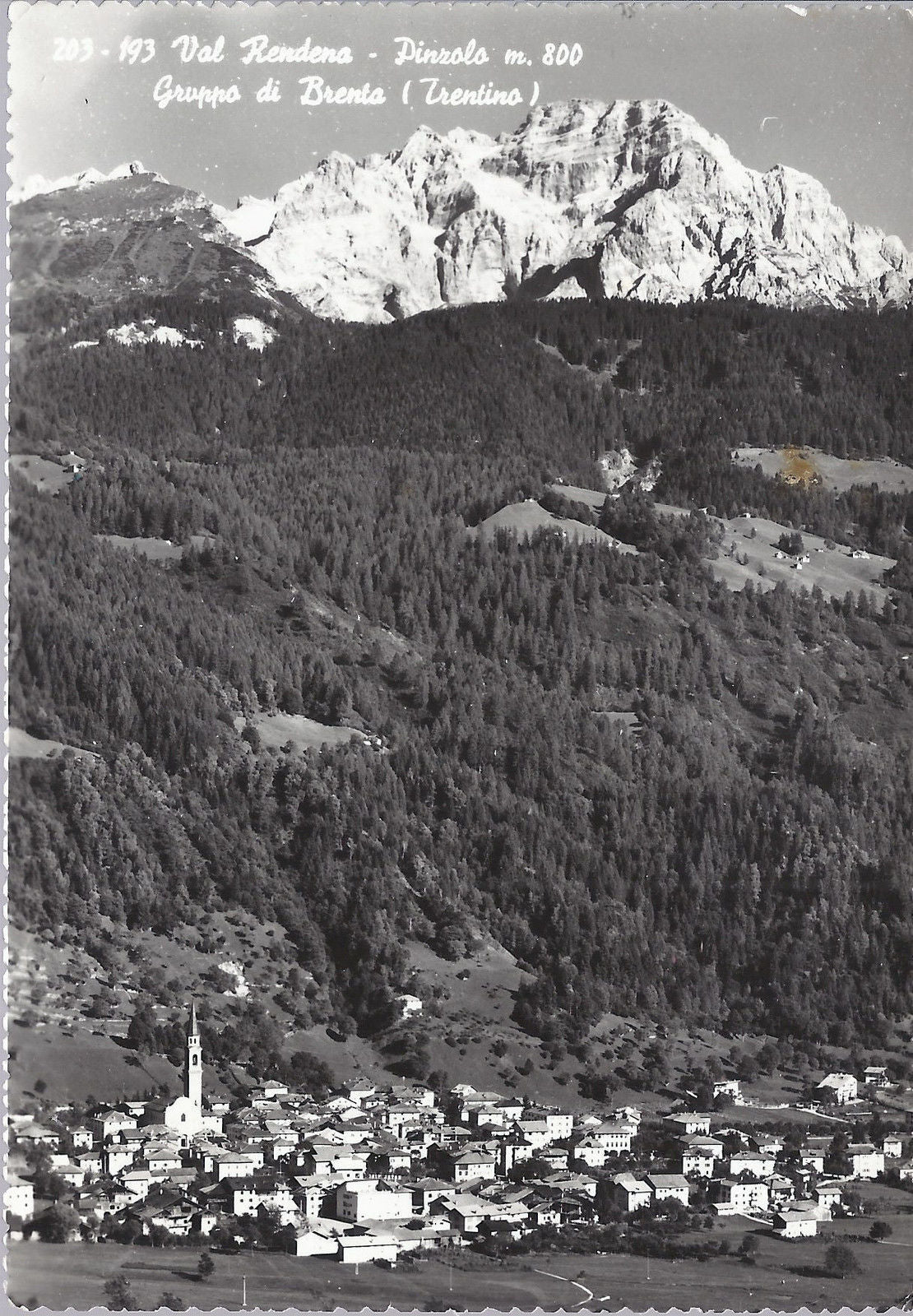 PINZOLO - VAL RENDENA - V 1959 - FG