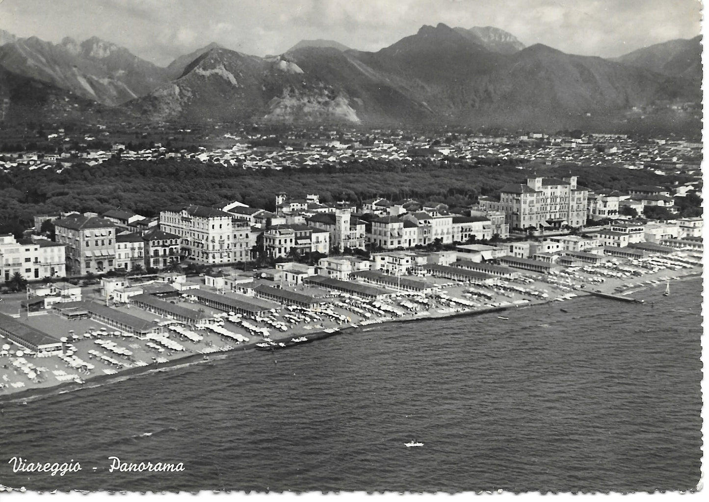 VIAREGGIO - PANORAMA - V1952