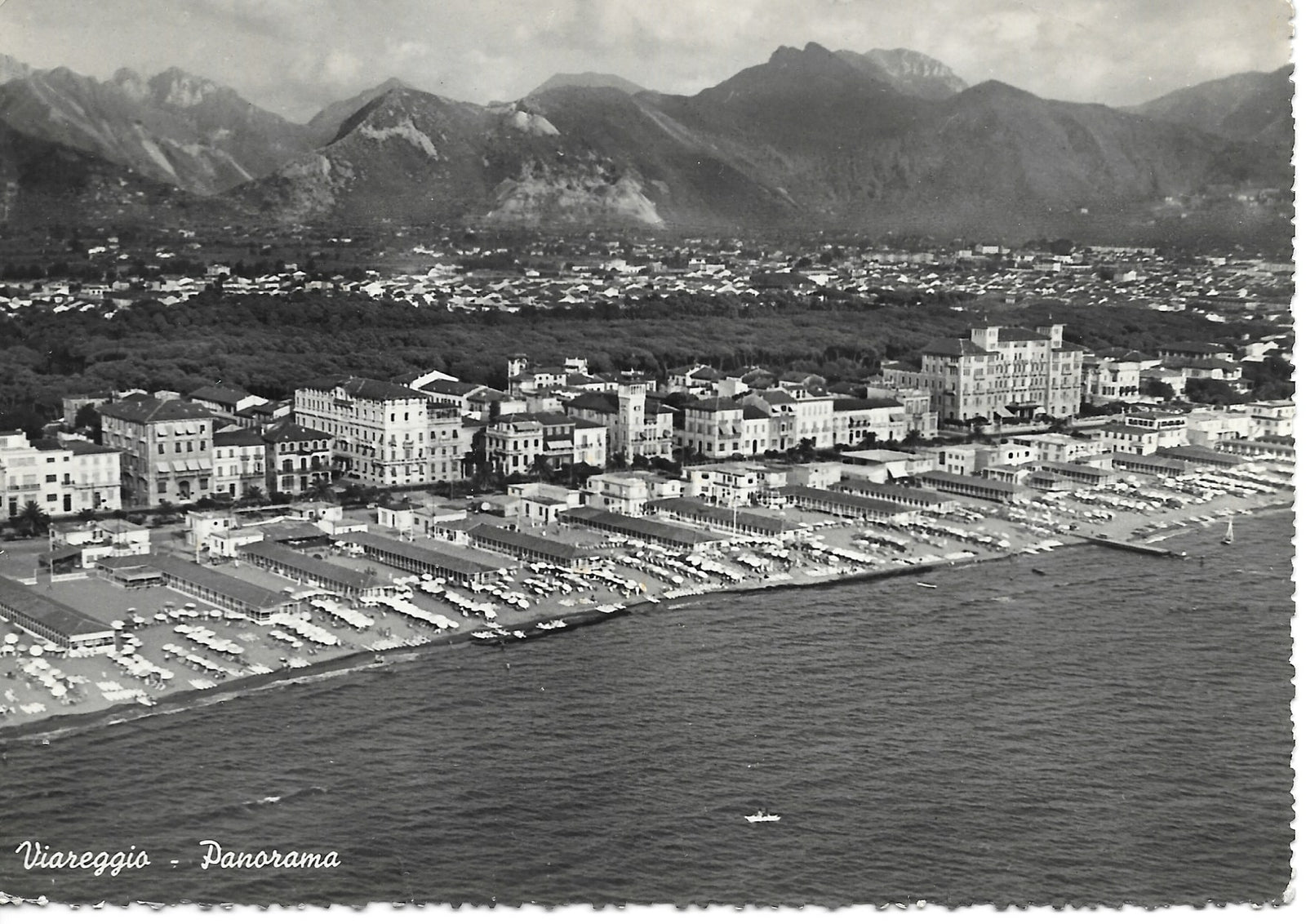 VIAREGGIO - PANORAMA - V1952
