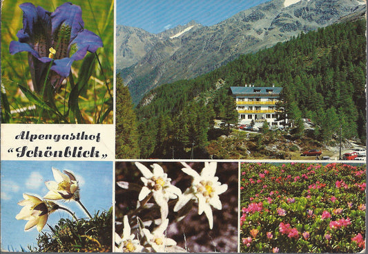 MARTELLO - ALPENGASTHOF SCHONBLICK - ALBERGO ALPINO SCHONBLI