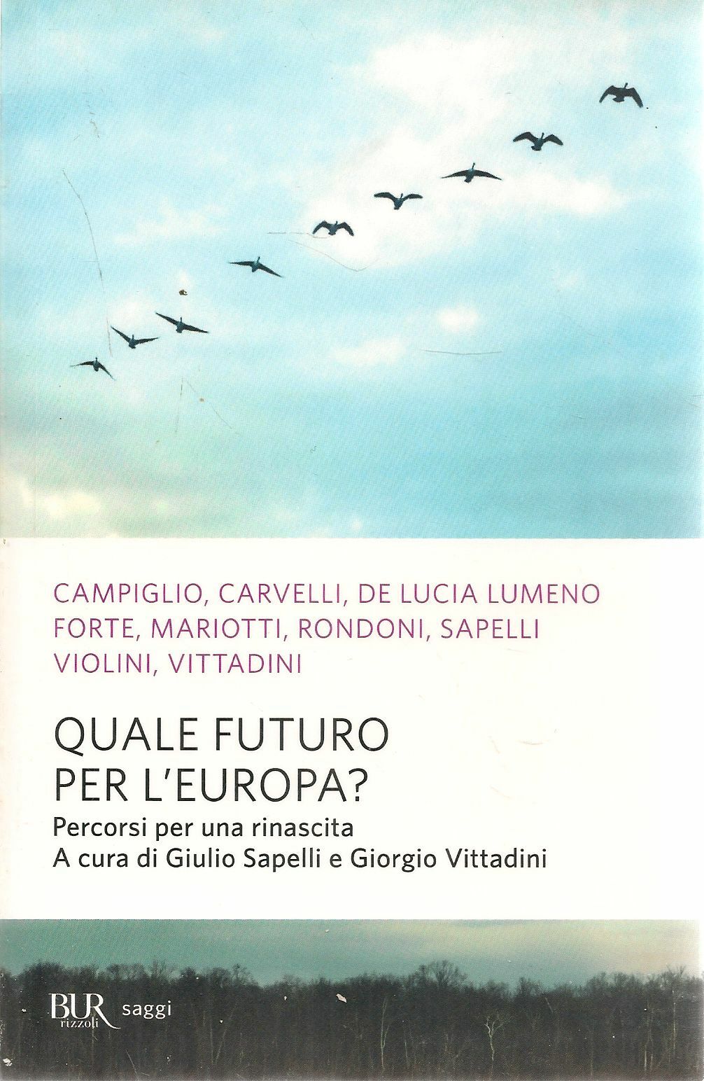QUALE FUTURO PER L'EUROPA