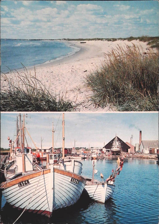 AALBAEK STRAND - DANIMARCA - V1981