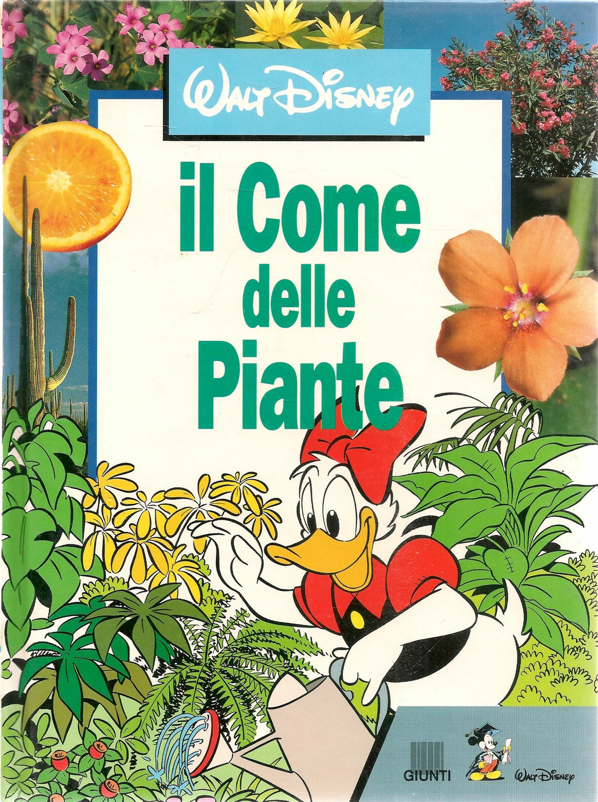 IL COME DELLE PIANTE