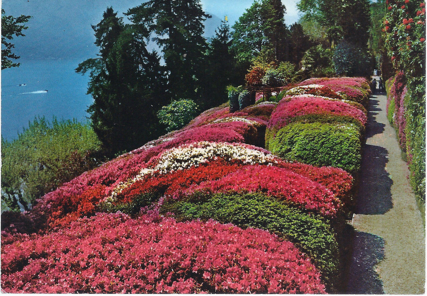 TREMEZZO CADENABBIA - VILLA CARLOTTA - LA FIORITURA DELLE AZ