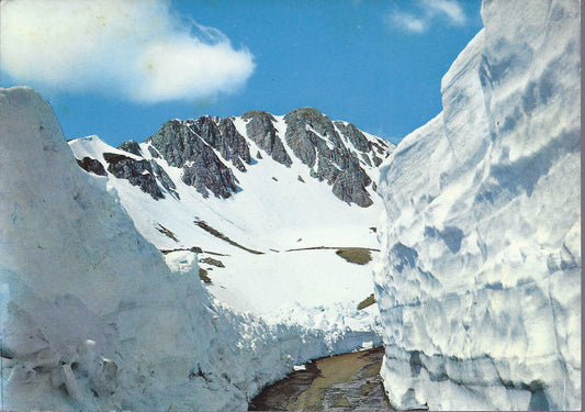 MONTE TERMINILLO - VETTA SASSATELLI - V 1972 - FG