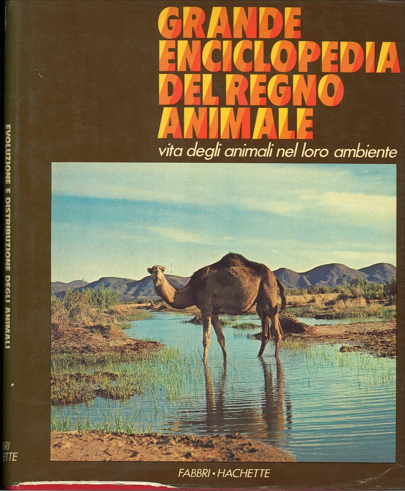 GRANDE ENCICLOPEDIA DEL REGNO ANIMALE -VOL. 4