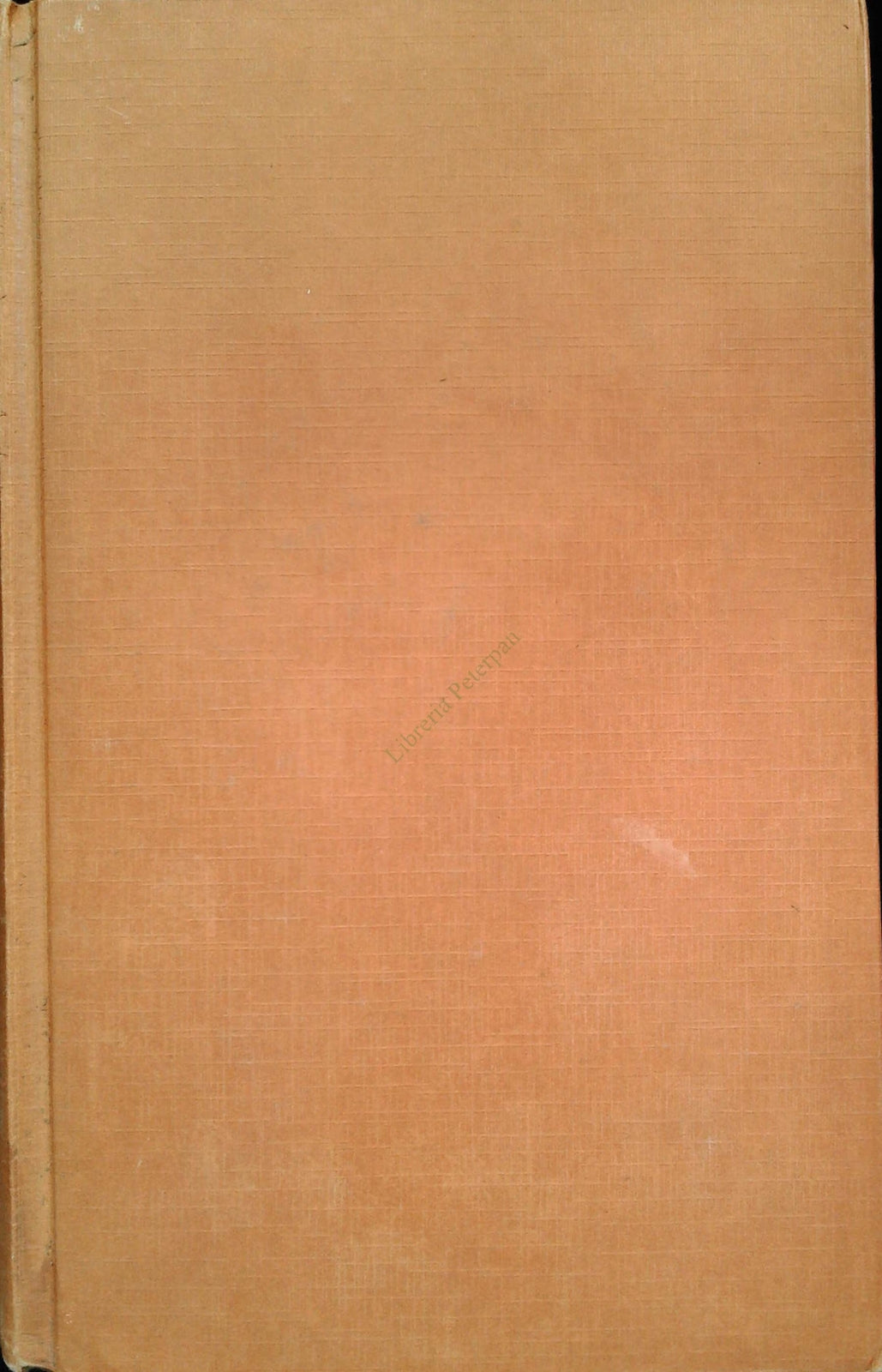 SCRUPOLI - JUDITH KRANTZ - CDE 1980