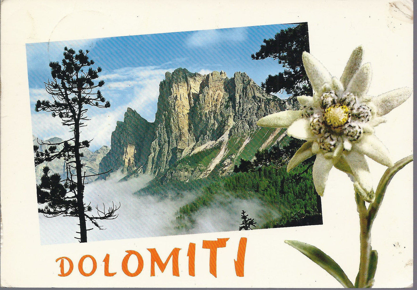 GRUPPO DEL POMAGAGNON - DOLOMITI - V 1977 - FG