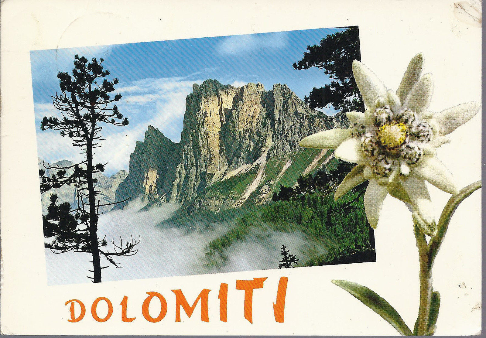 GRUPPO DEL POMAGAGNON - DOLOMITI - V 1977 - FG