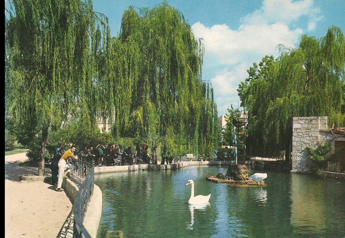 ISERNIA - VILLA COMUNALE - V1971