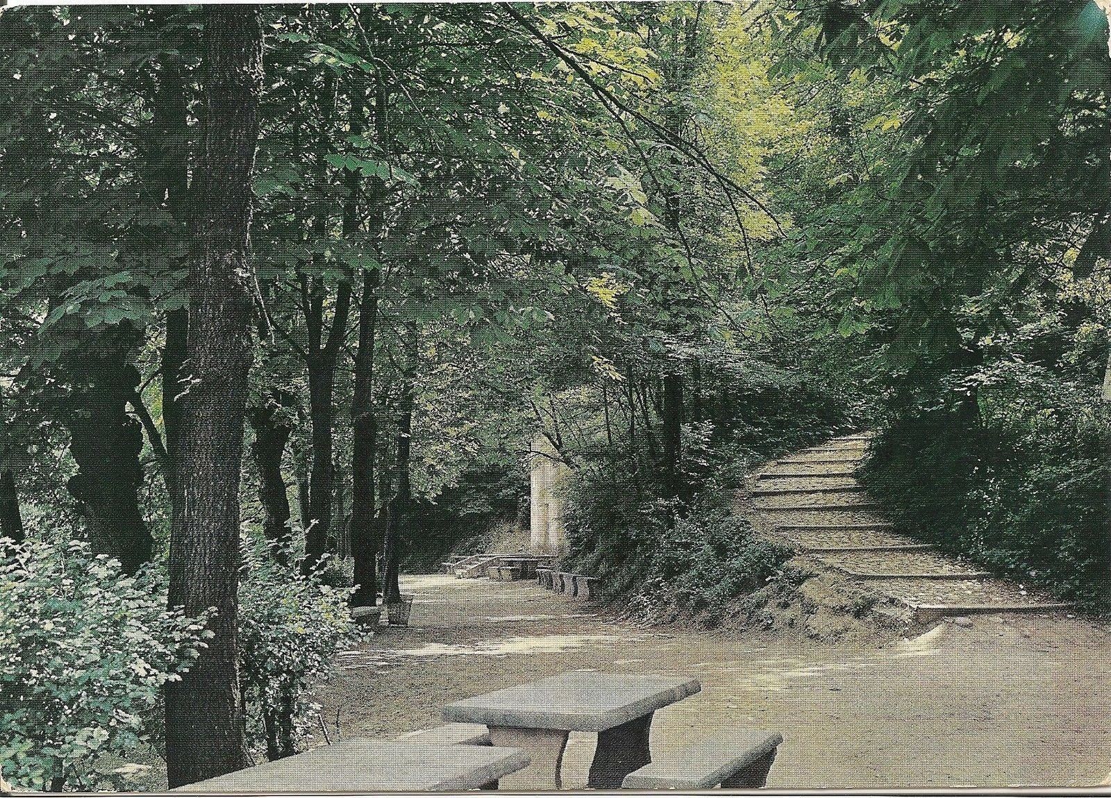 SANTUARIO DI CREA DI MONFERRATO - V1967
