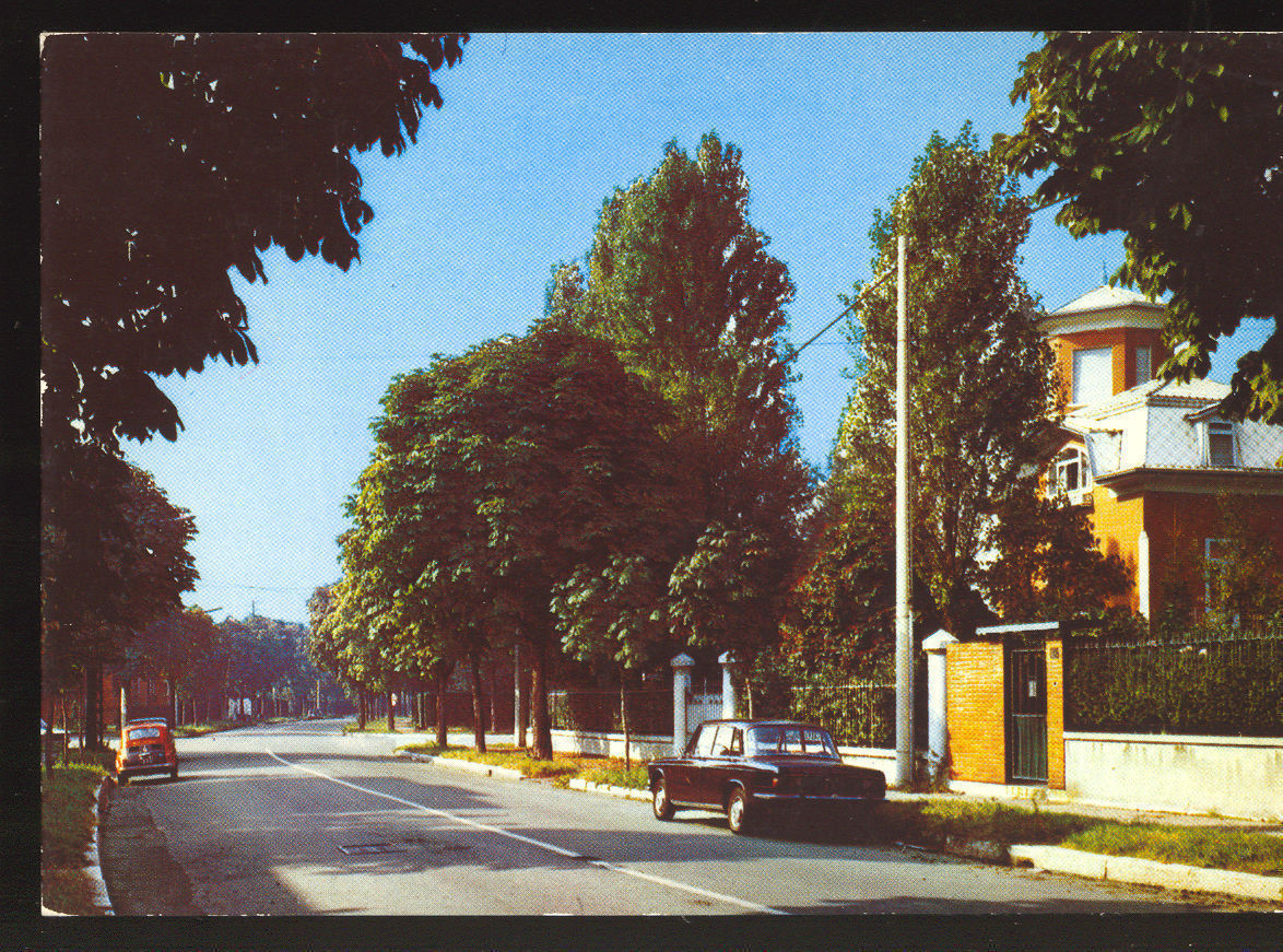 CUSANO MILANINO - VIALE DEI TIGLI - NV