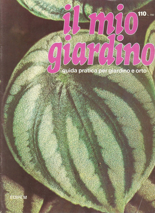 IL MIO GIARDINO N 110