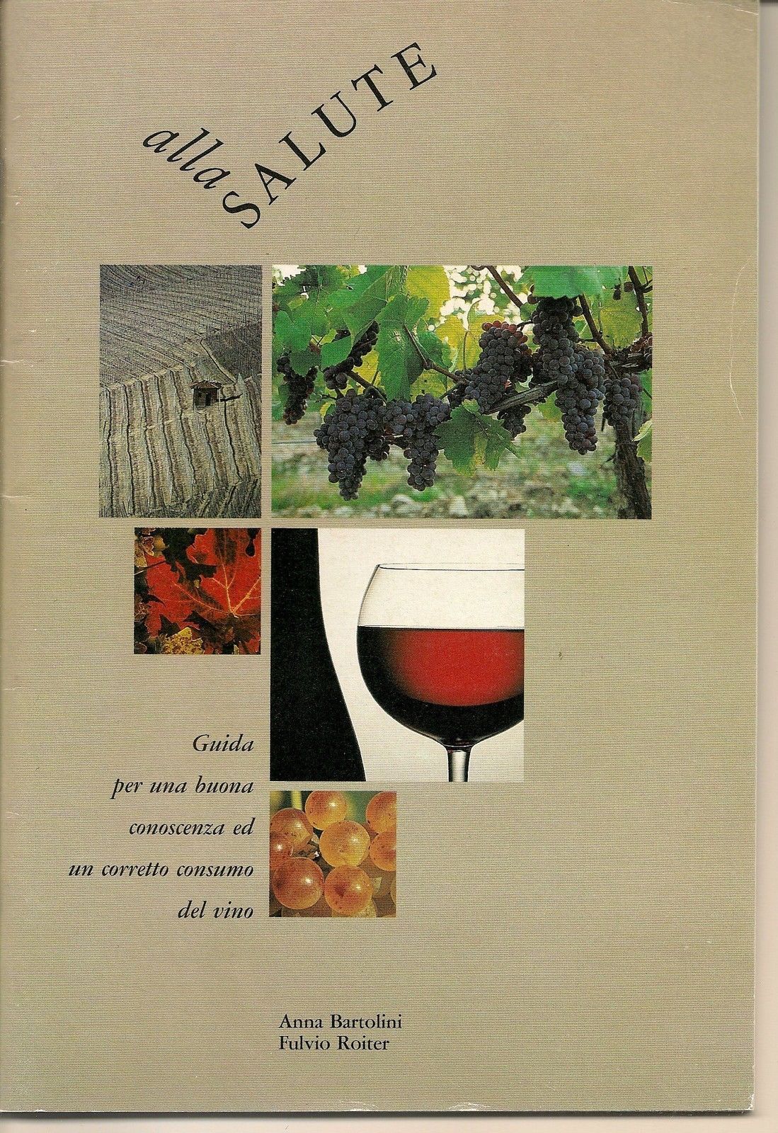 ALLA SALUTE  Guida per una conoscenza del vino - ANNA BARTOLINI  FULVIO ROITER