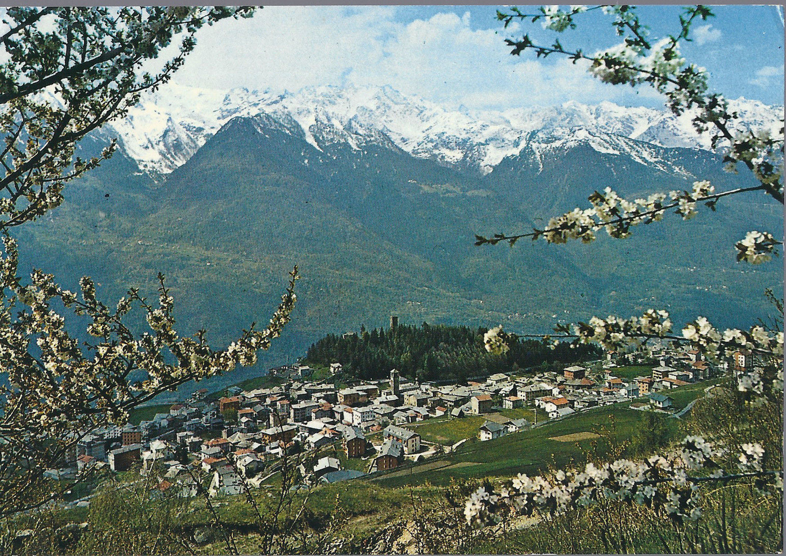 TEGLIO - PANORAMA - V 1978 - FG