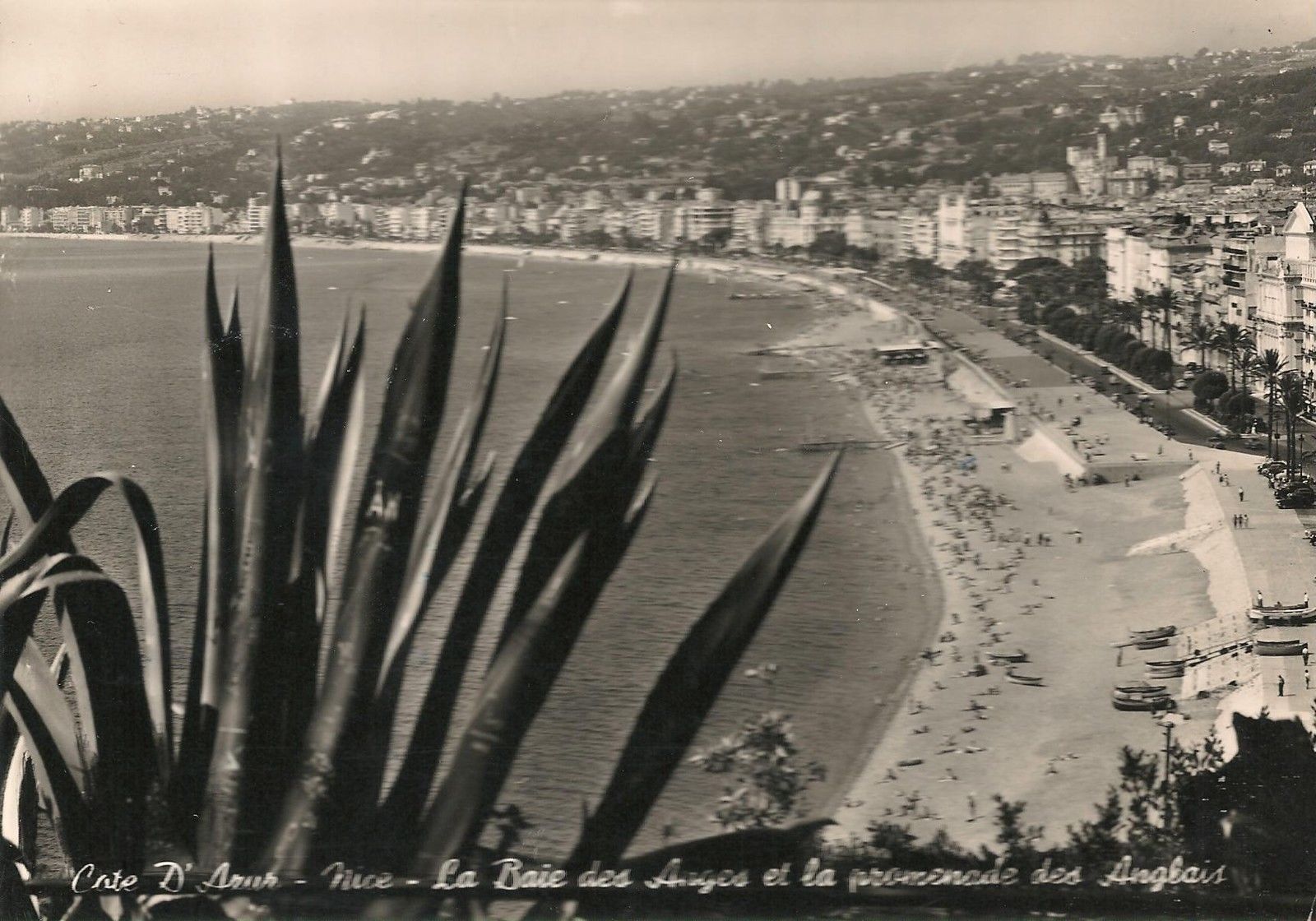 COTE D'AZUR - PANORAMA/VUE GENERALE - V1958