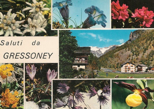 SALUTI DA GRESSONEY - VEDUTINA CON FIORI - NV