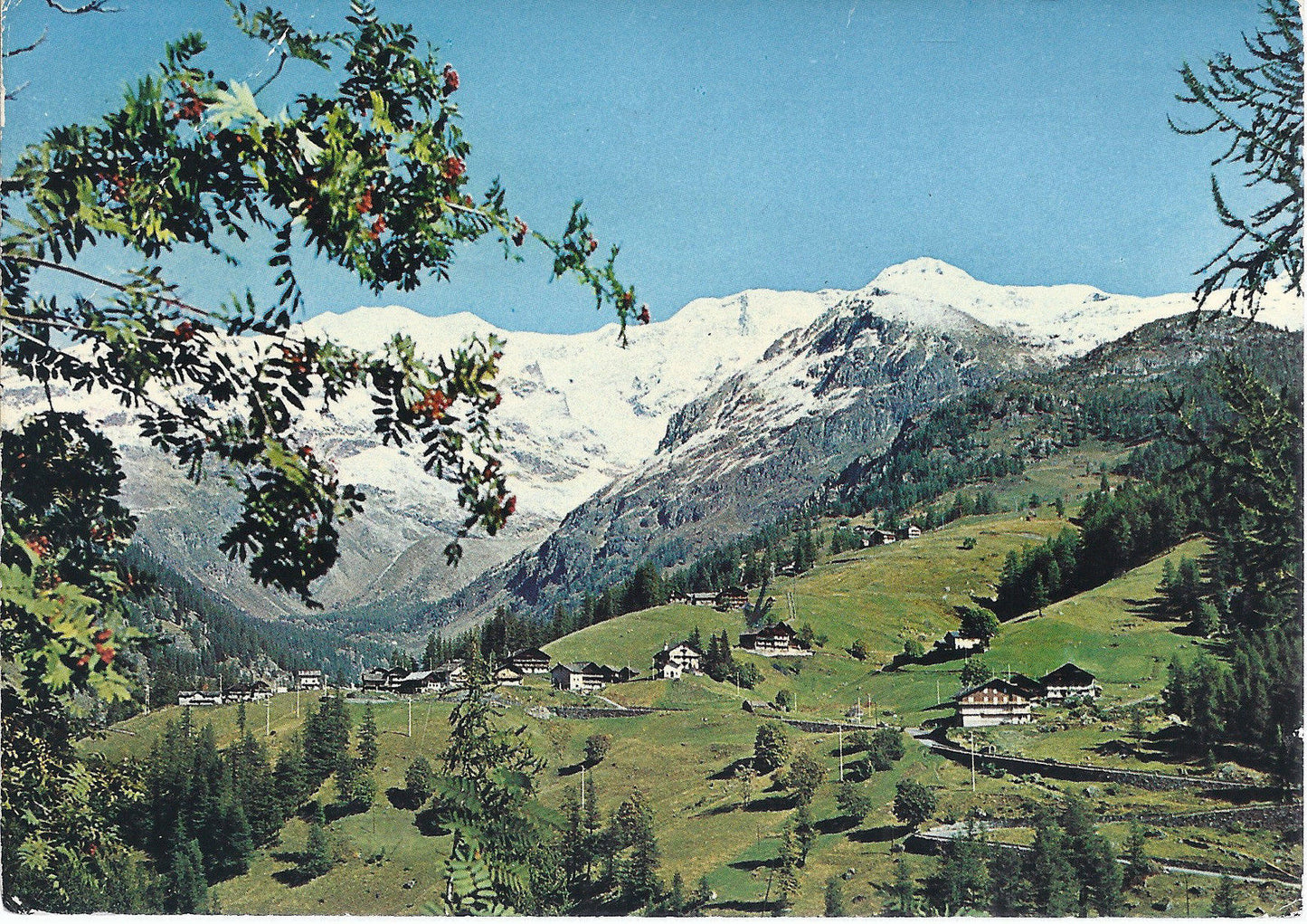 GRESSONEY LA TRINITE' - FRAZ. ORSIA E FONDO VALLE - V 1