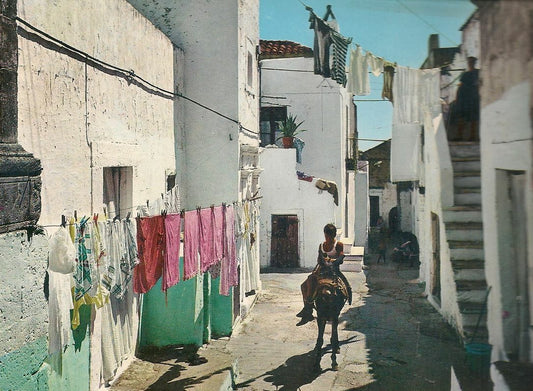 PESCHICI - SCORDCIO - V1976