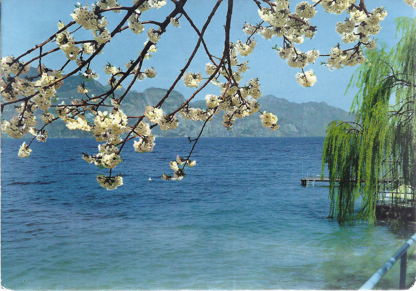 LAGO DI GARDA - PANORAMA - V1966