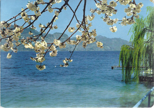 LAGO DI GARDA - PANORAMA - V1966
