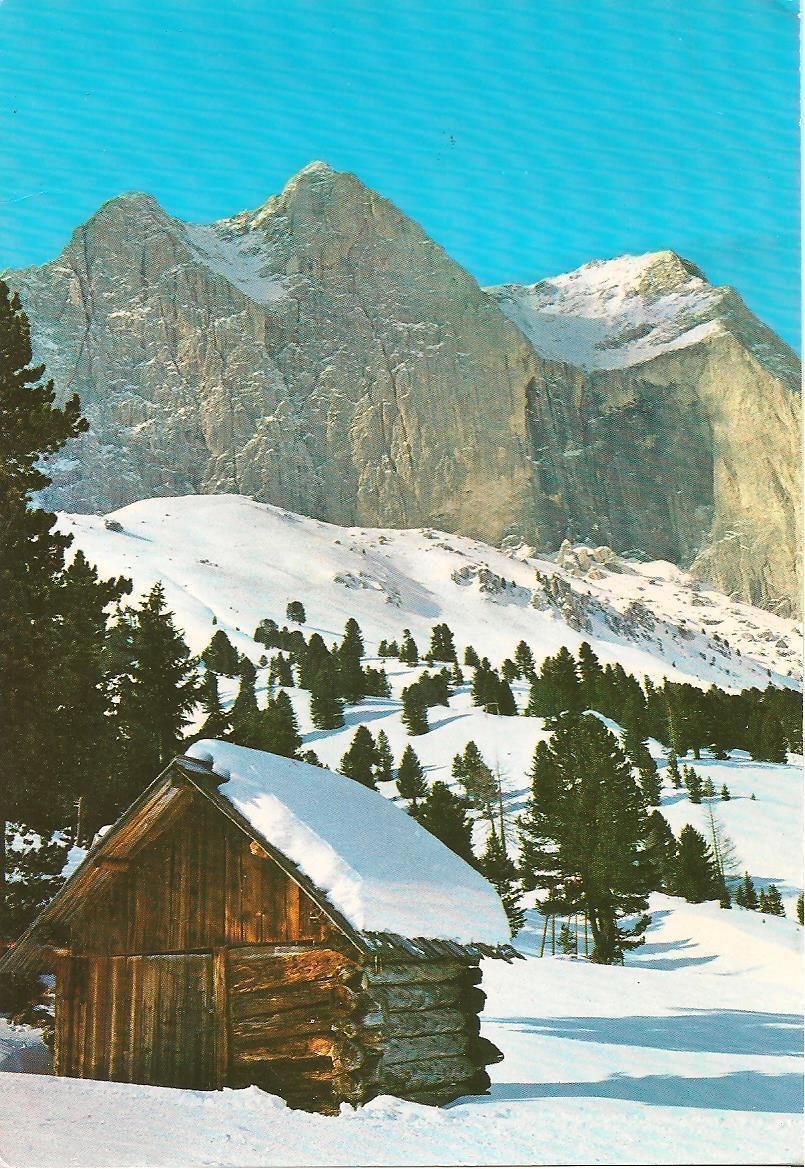 DOLOMITI - IL CATINACCIO - PANORAMA - V1988