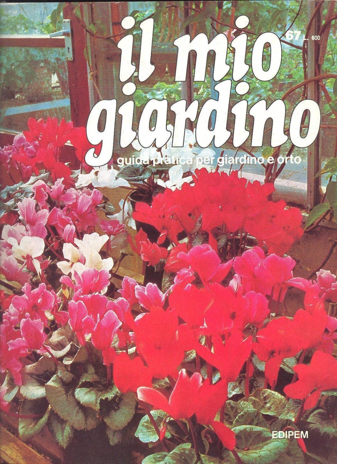 IL MIO GIARDINO N 67