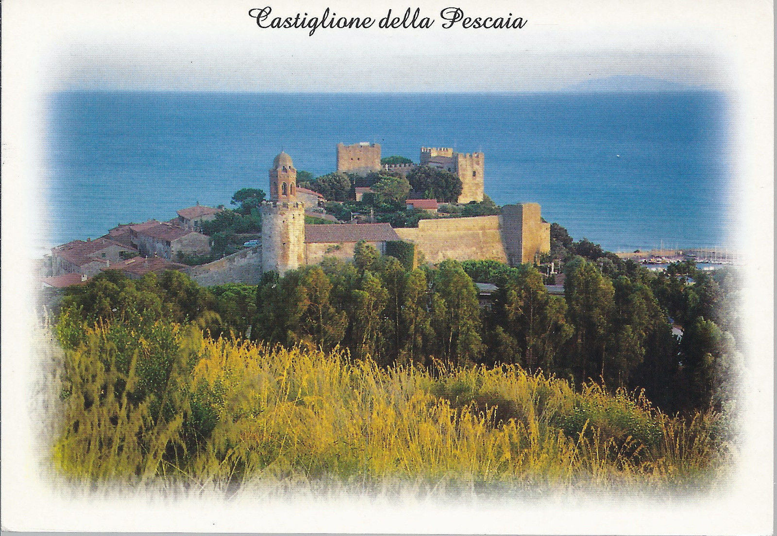 CASTIGLIONE DLLA PESCAIA - IL CASTELLO - NV