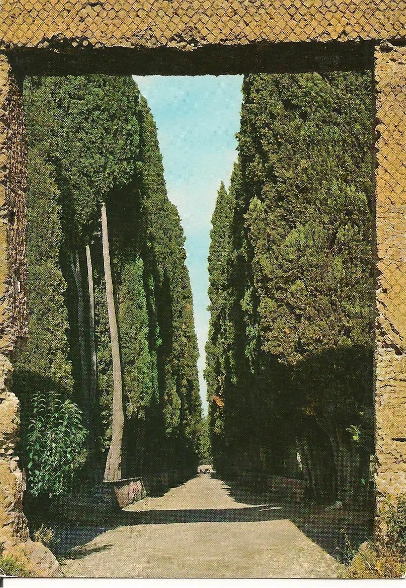 VILLA ADRIANA - VIALE DEI CIPRESSI - NV