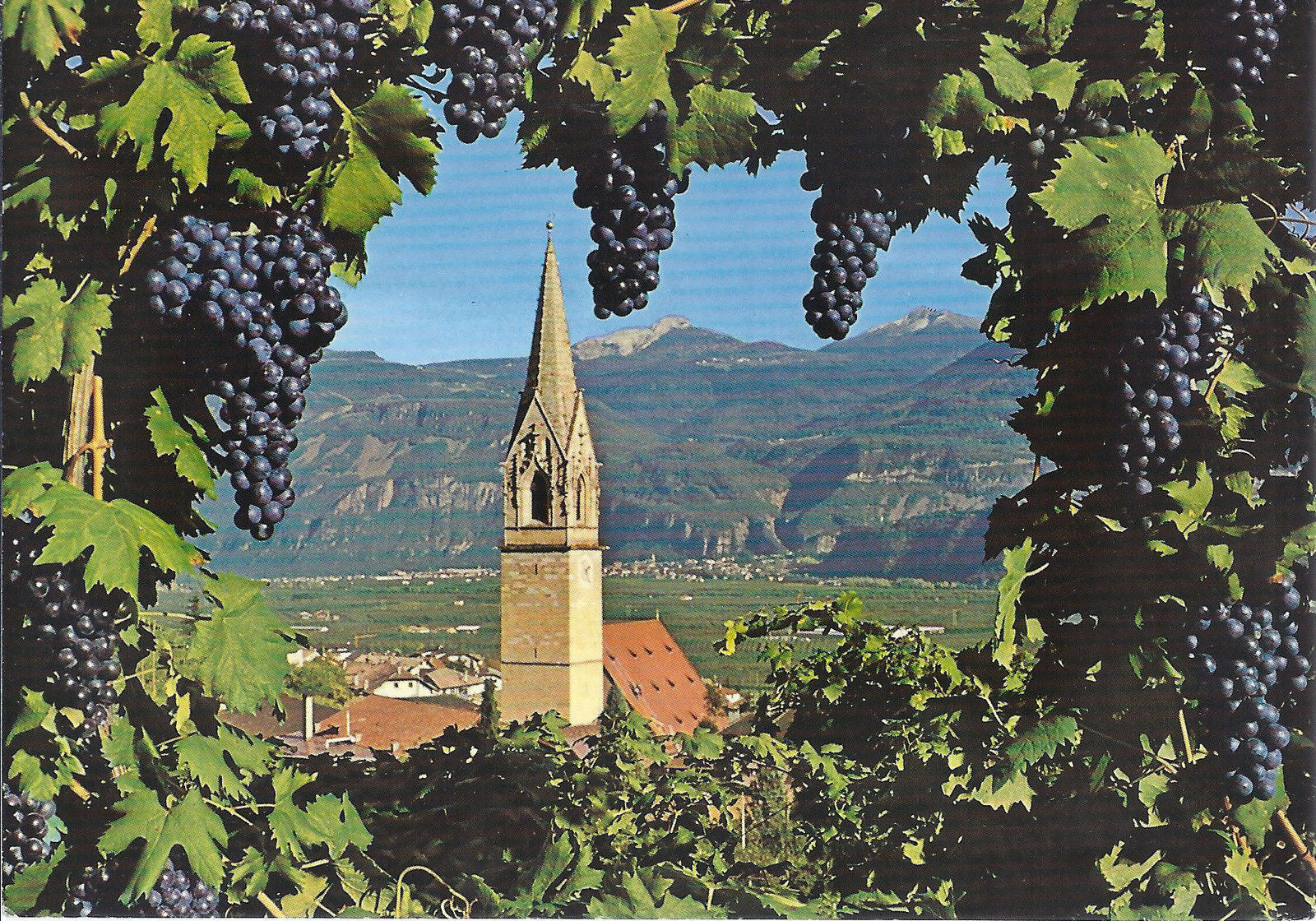 TERMENO SULLA STRADA DEL VINO - TRAMIN AN DER SUDTIROLER WEI