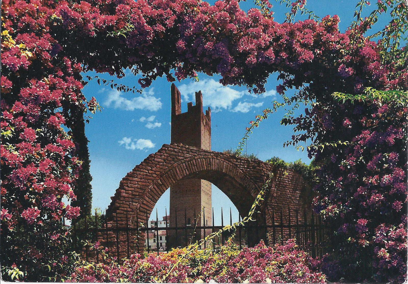 ROVIGO - GIARDINI CON TORRE DONA' - V1969