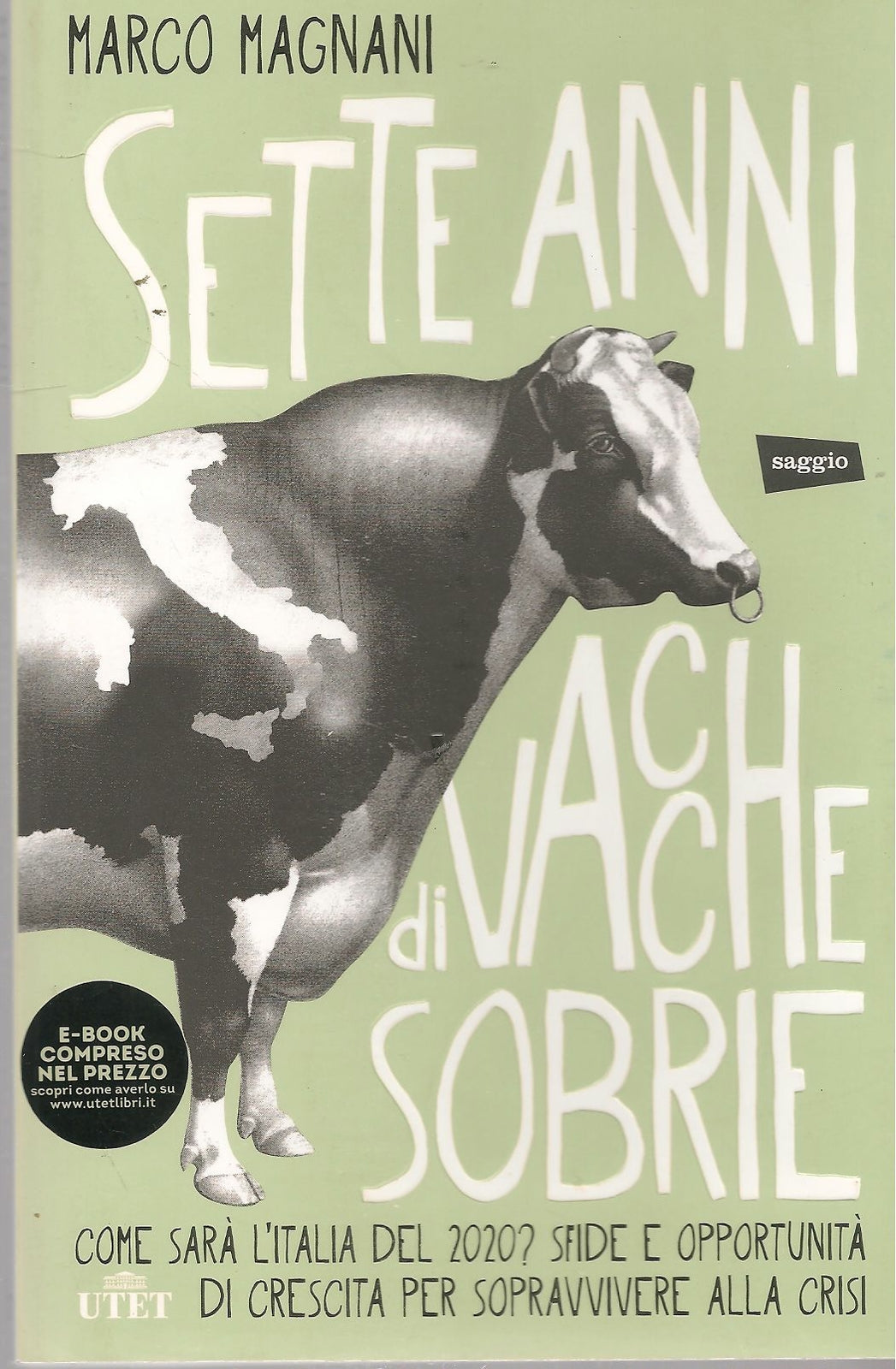 SETTE ANNI DI VACCHE GRASSE - AMRCO MAGNANI