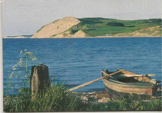 LIMFJORDSLANDET - DENMARK - HANKLIT MORS - NV