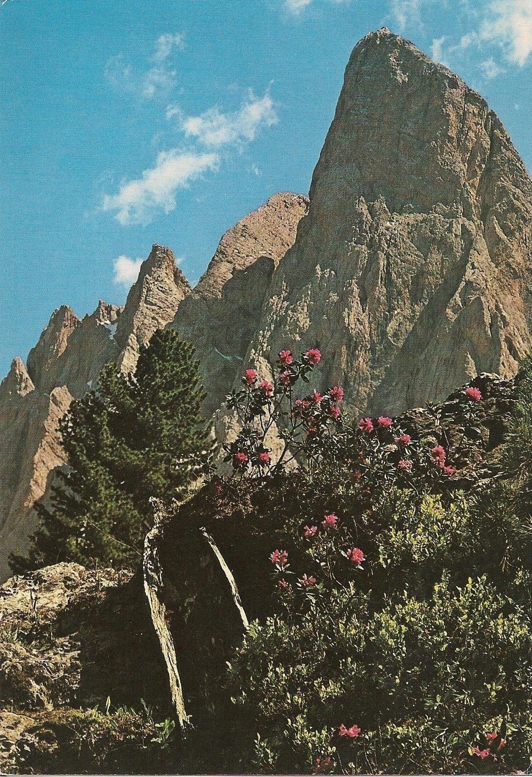 GRUPPO DELLE ODLE/GEISLERSPITZEN - DOLOMITI - PANORAMA - NV