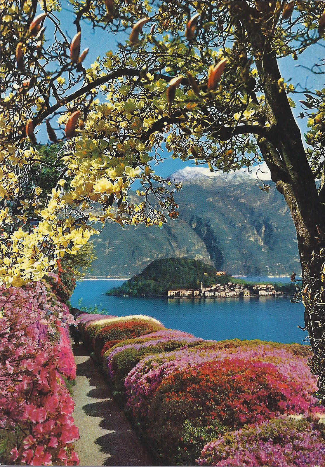 BELLAGIO visto da VILLA CARLOTTA - NV - FG