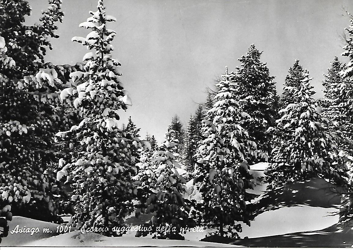 ASIAGO - SCORCIO DELLA PINETA - NV