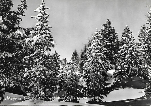 ASIAGO - SCORCIO DELLA PINETA - NV