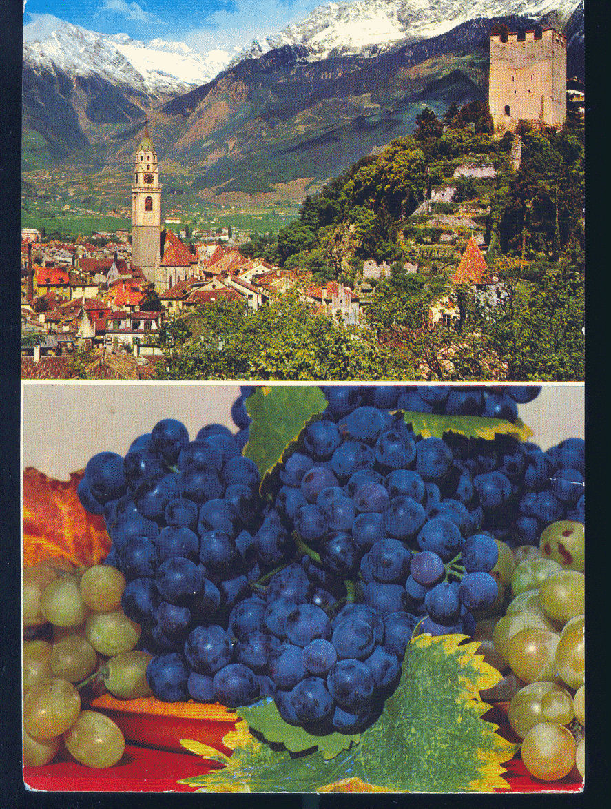 MERANO - PANORAMA - V