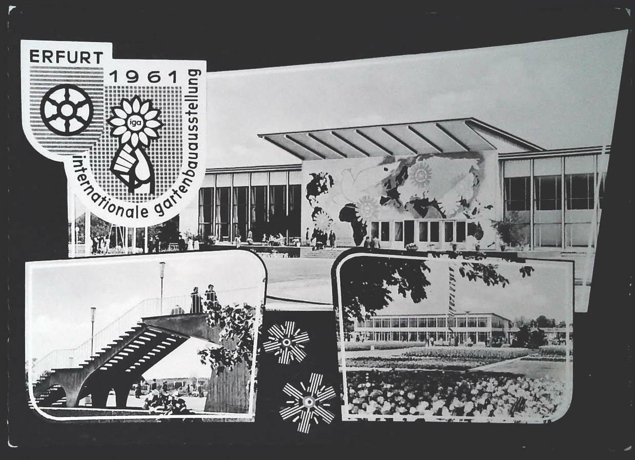 ERFURT 1961 - GERM,ANIA -TRE VEDUTE - NV