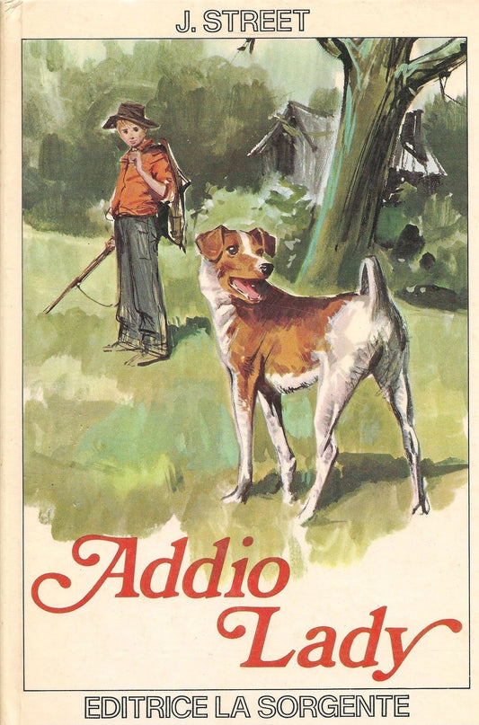 ADDIO LADY - JAMES STREET