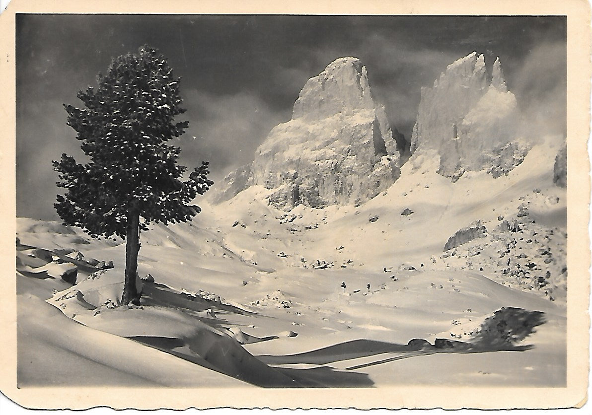 GRUPPO DEL SASSOLUNGO - PANORAMA - V1952