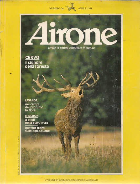 AIRONE N. 36 - APRILE 1984 - CERVO SIGNORE DELLA FORESTA